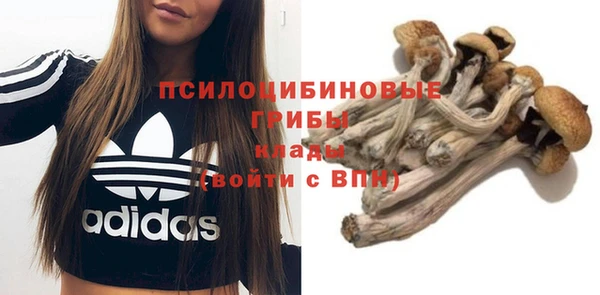каннабис Михайловка