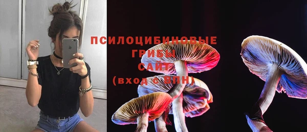 каннабис Михайловка
