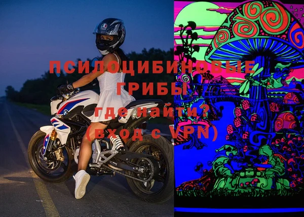 гашик Мегион