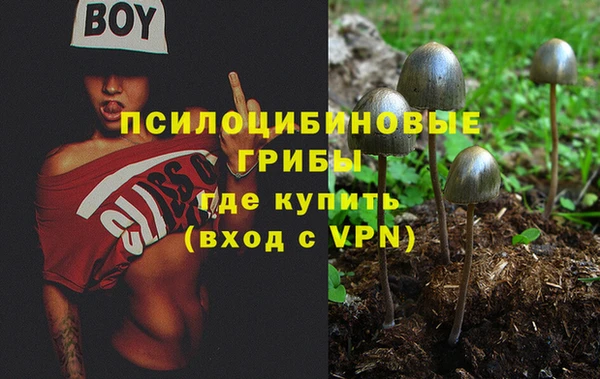 каннабис Михайловка