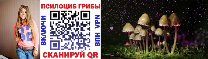 Псилоцибиновые грибы Magic Shrooms Оханск
